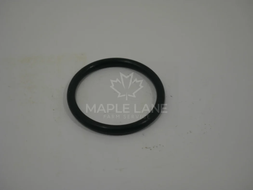 24266600 O-Ring
