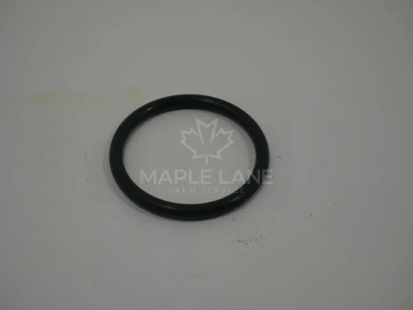24266600 O-Ring