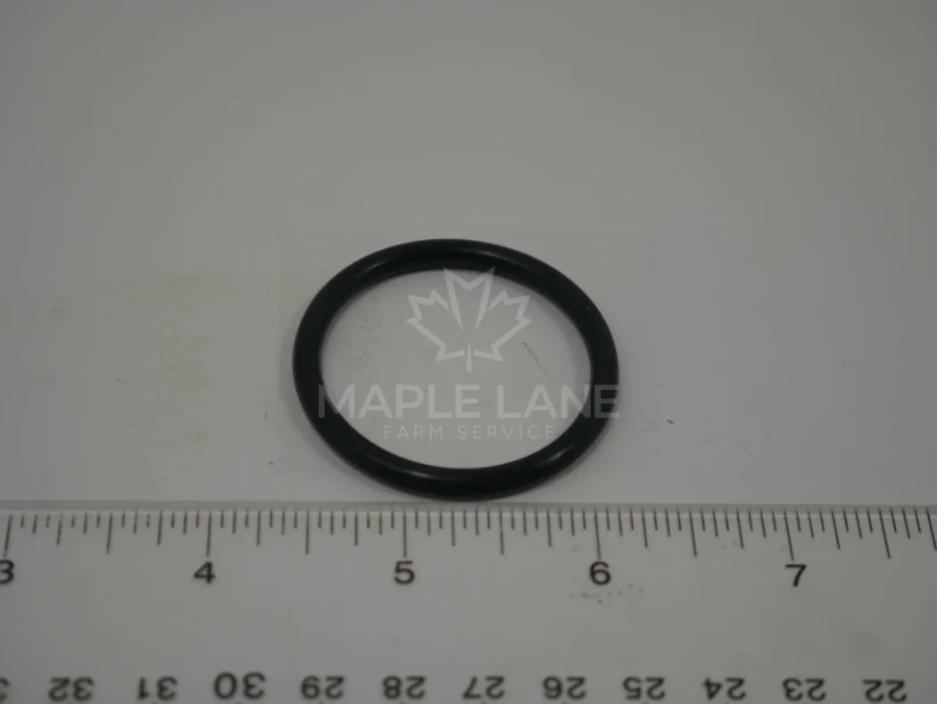 24266600 O-Ring