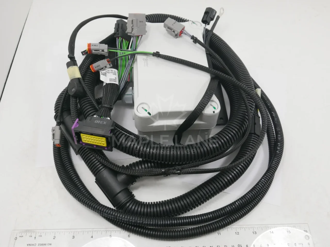 289200 Harness