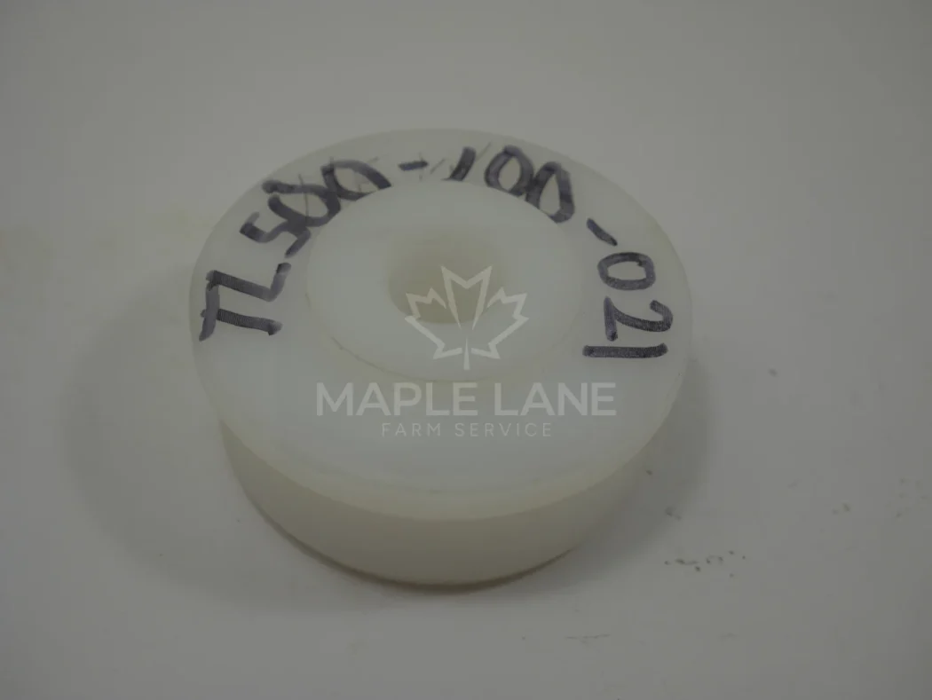 TL500-100-021 Bearing
