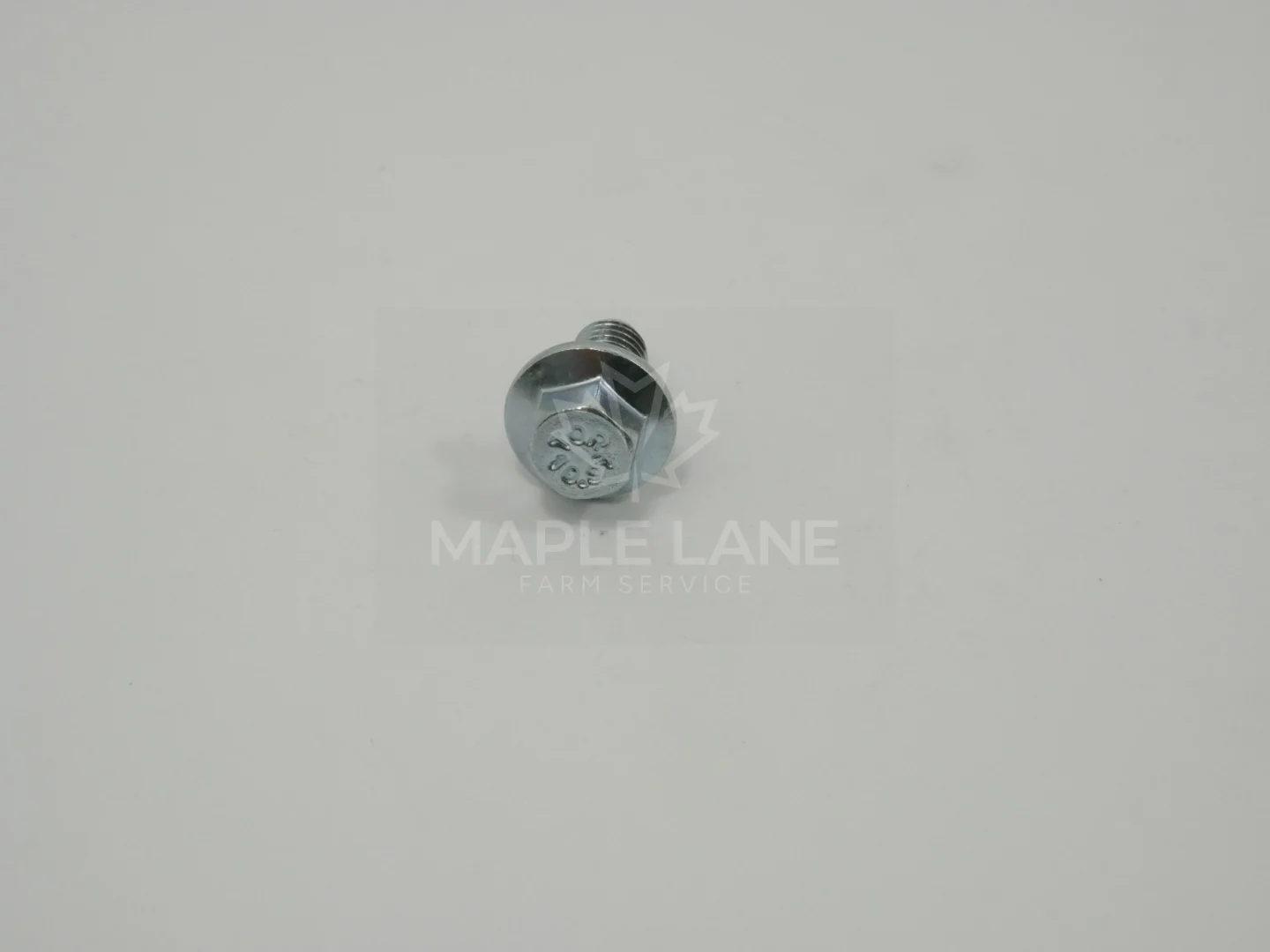 3009192X1 Bolt