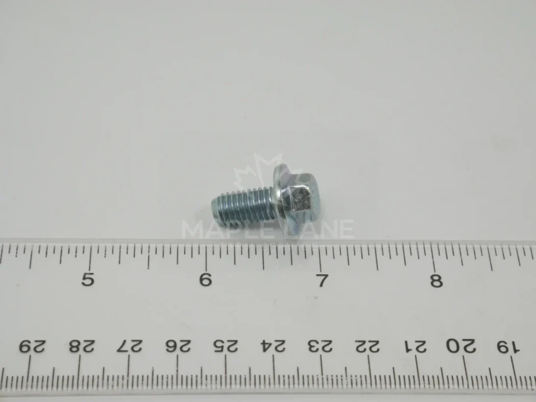 3009192X1 Bolt