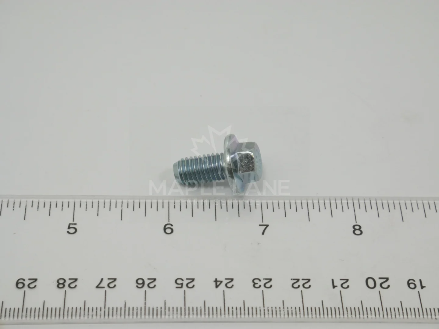 3009192X1 Bolt