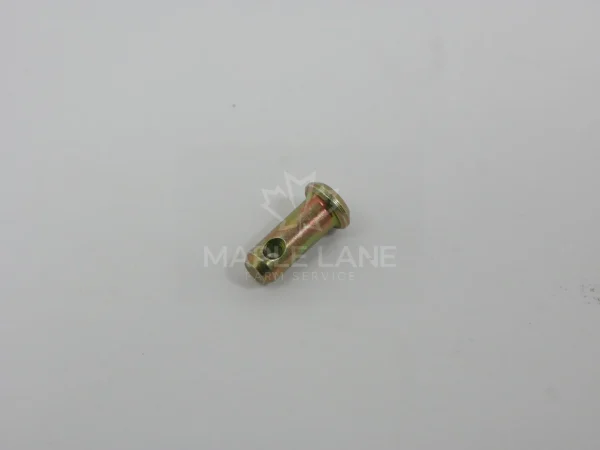 4382313M1 Pin
