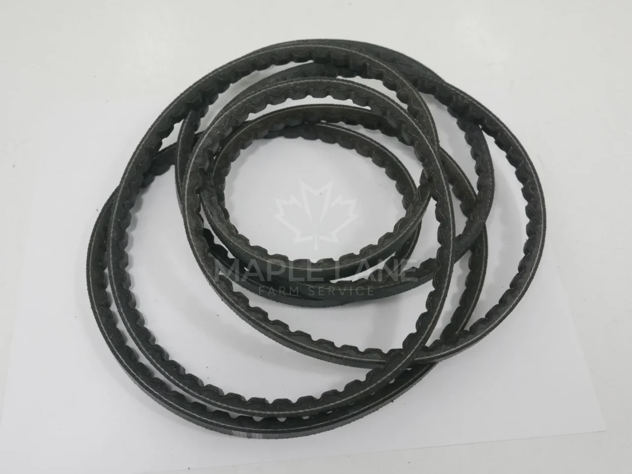 529900V91 Belt