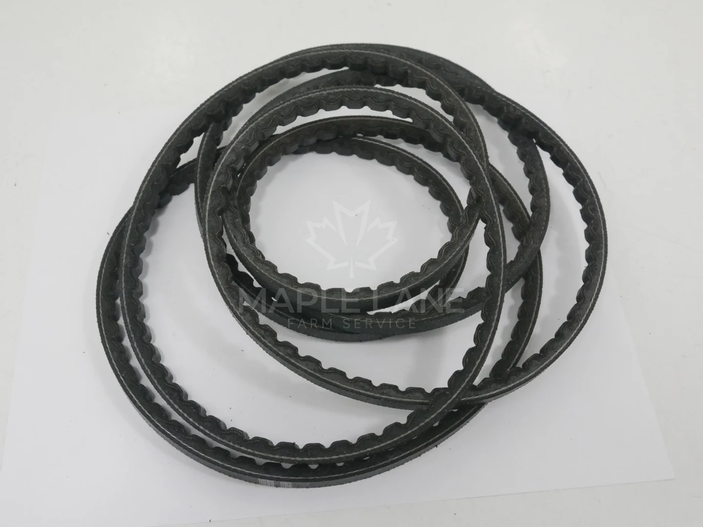 529900V91 Belt