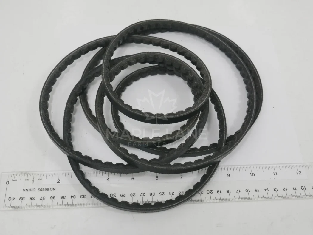529900V91 Belt