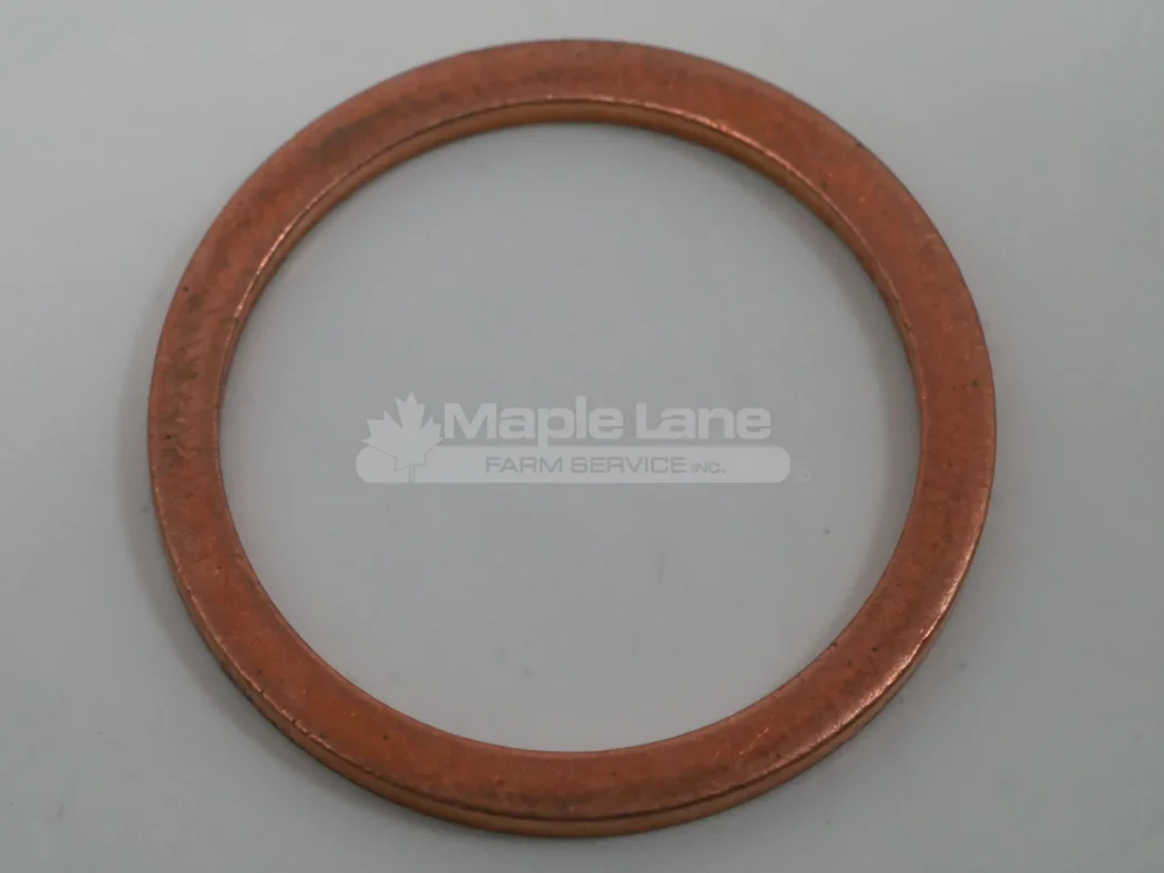 V615881620 Sealing Washer