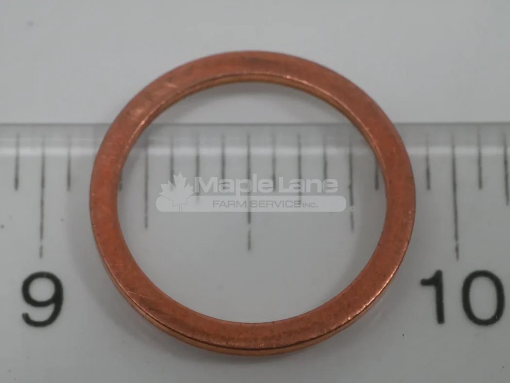 V615881620 Sealing Washer