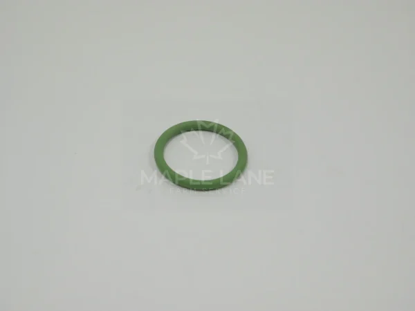 72317926 O-Ring