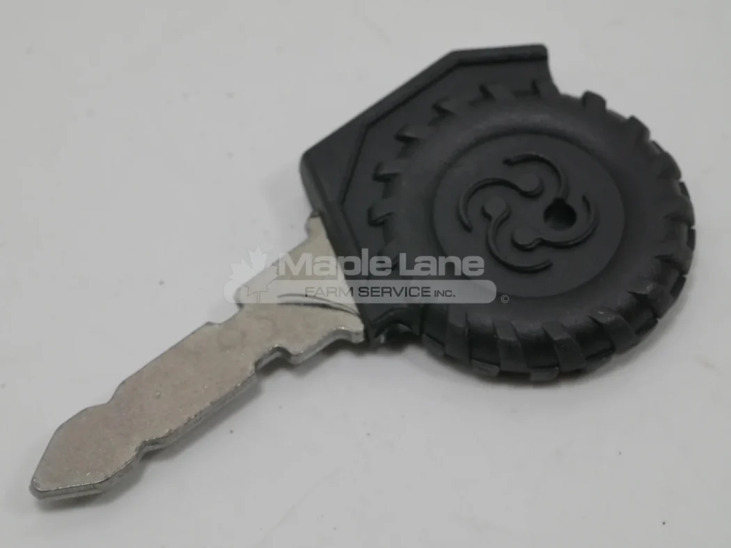 ACP1157050 Ignition Key