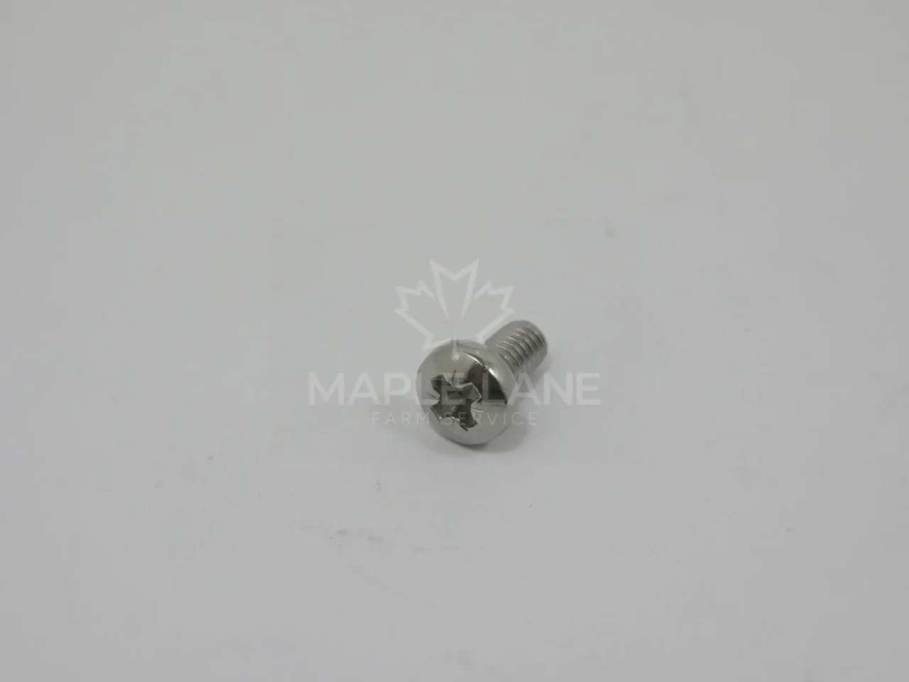 411045 Screw