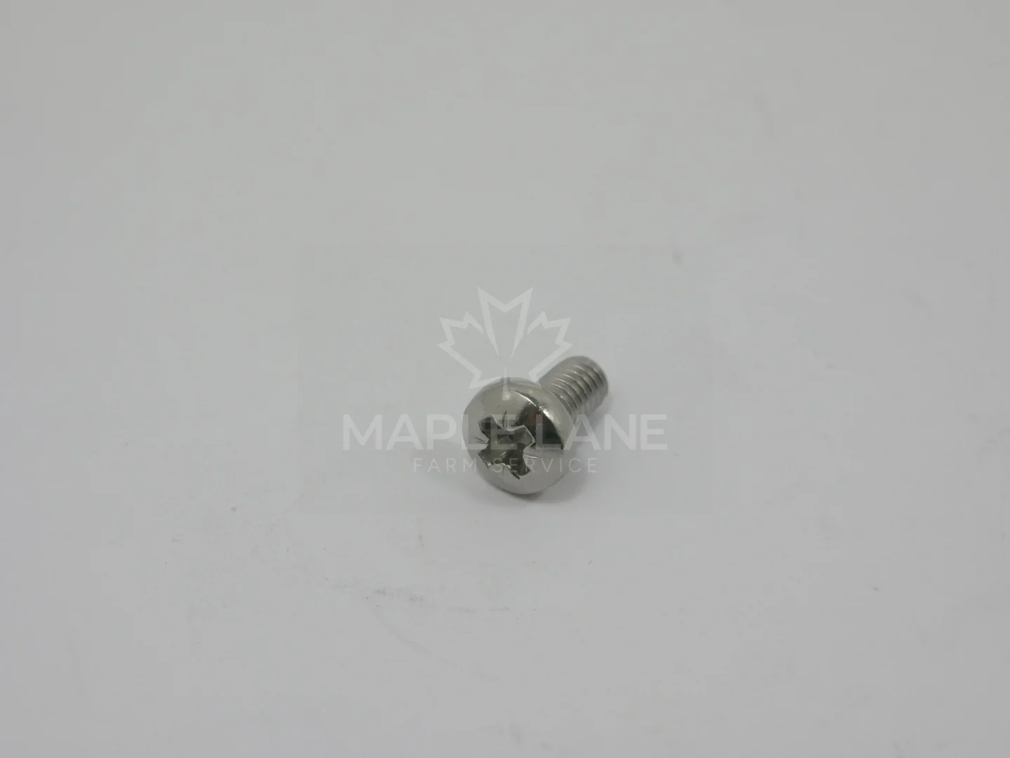 411045 Screw
