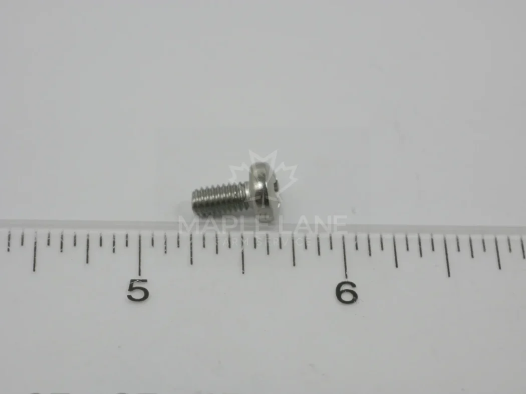 411045 Screw