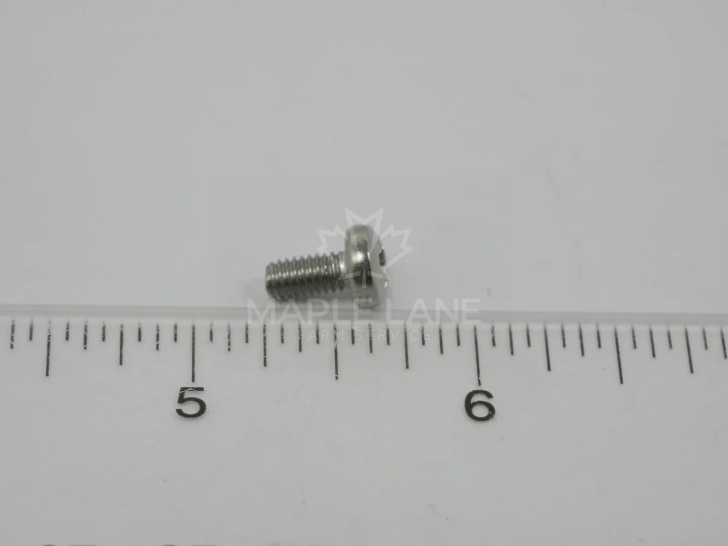 411045 Screw