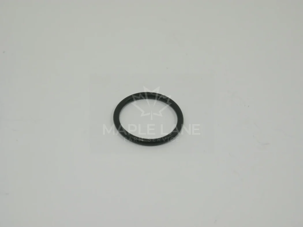 169373 O-Ring