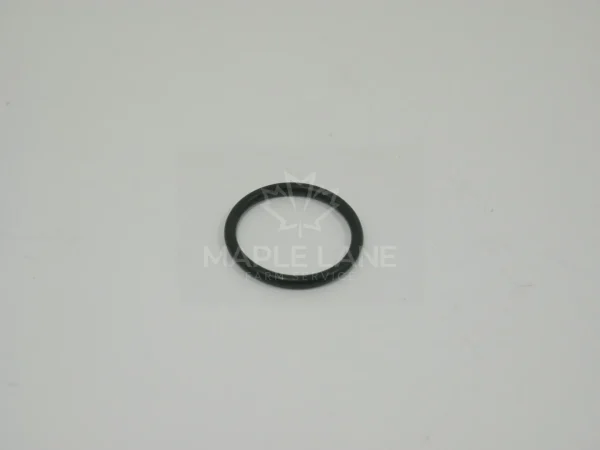 169373 O-Ring