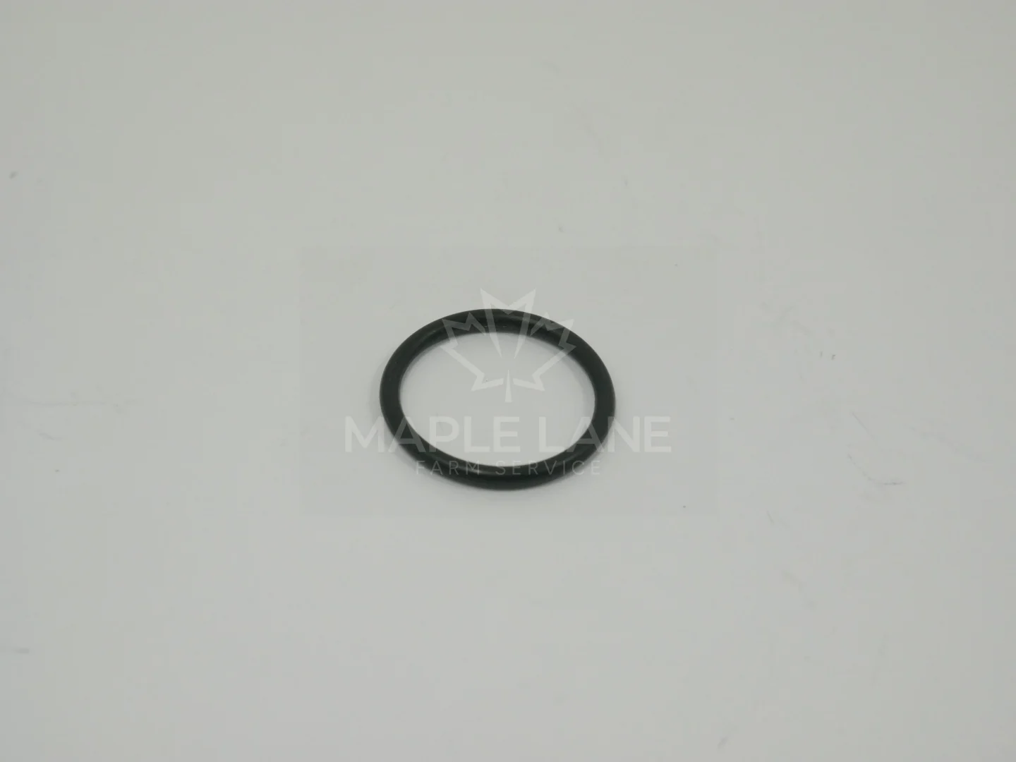 169373 O-Ring