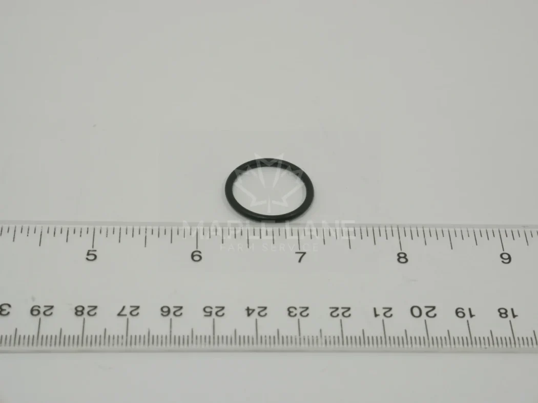 169373 O-Ring