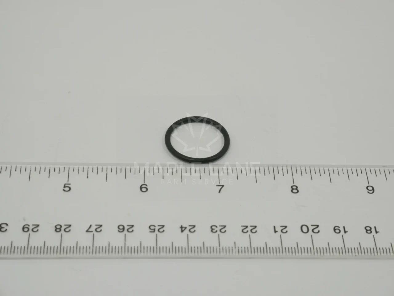 169373 O-Ring