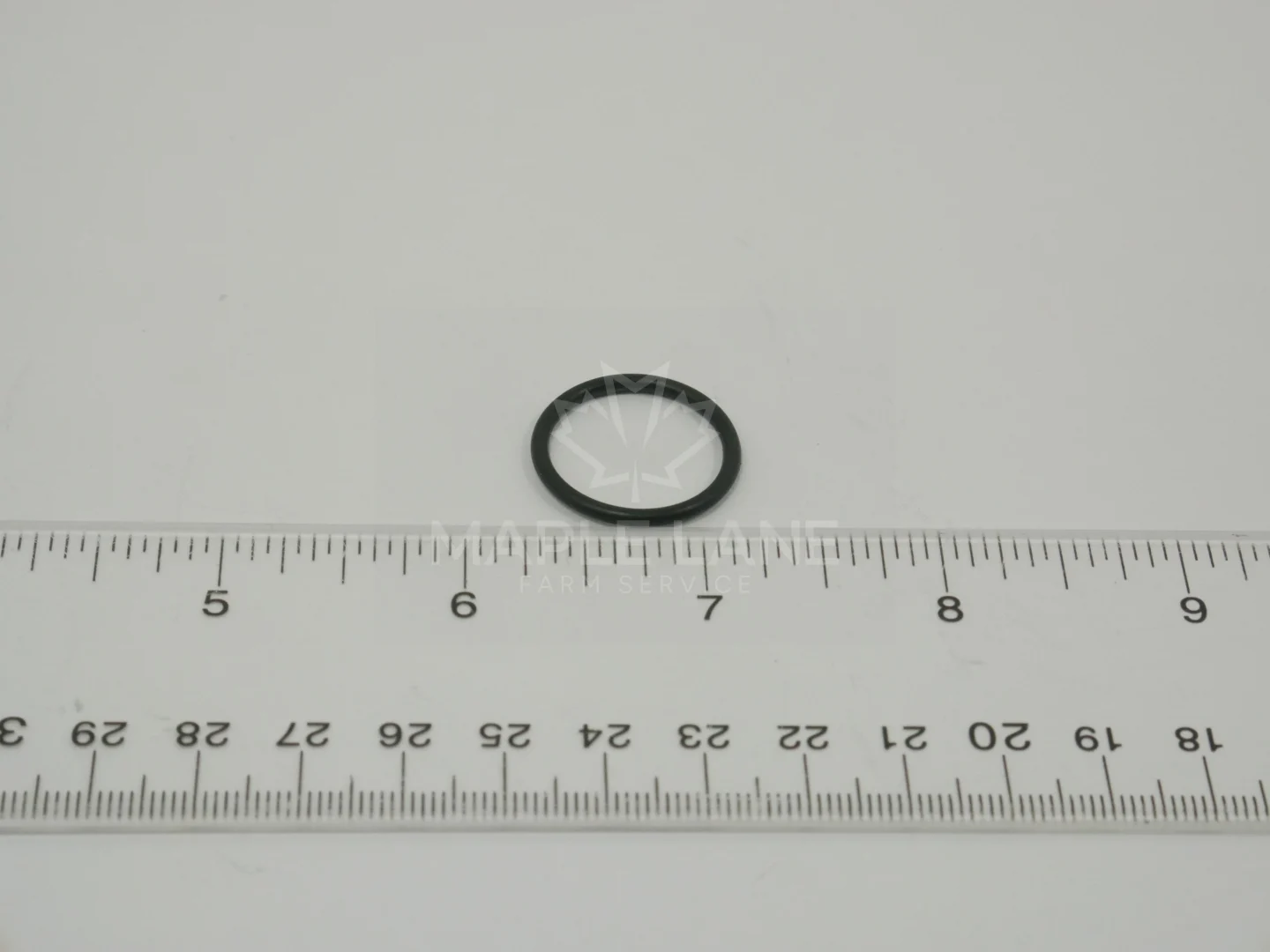 169373 O-Ring