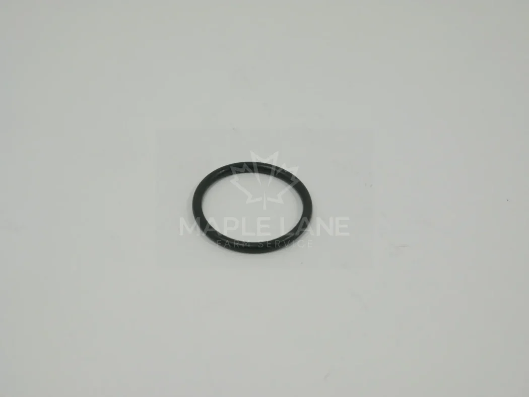 171758 O-Ring