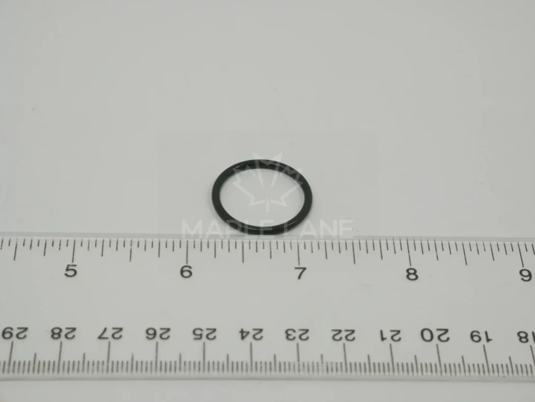 171758 O-Ring
