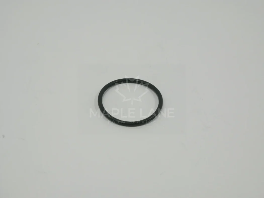 190019 O-Ring