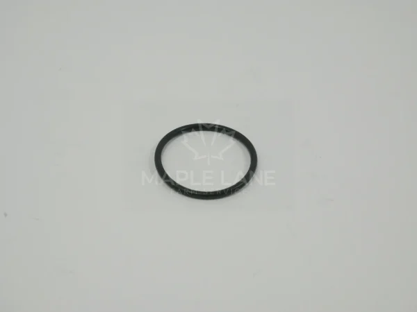 190019 O-Ring