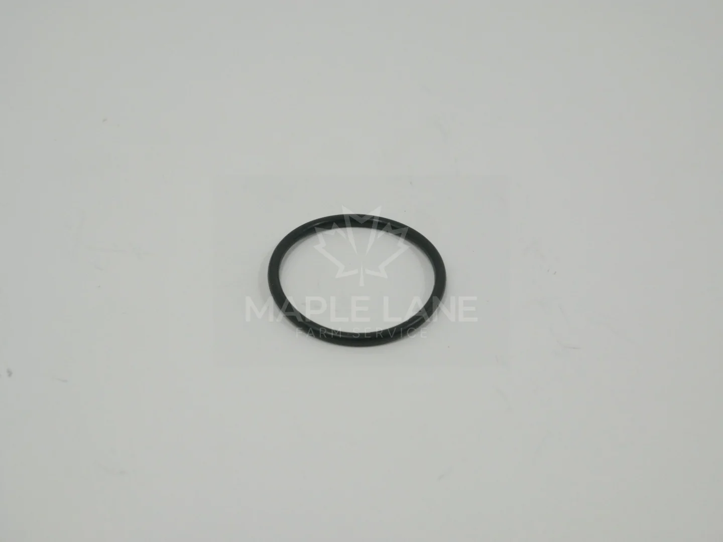 190019 O-Ring