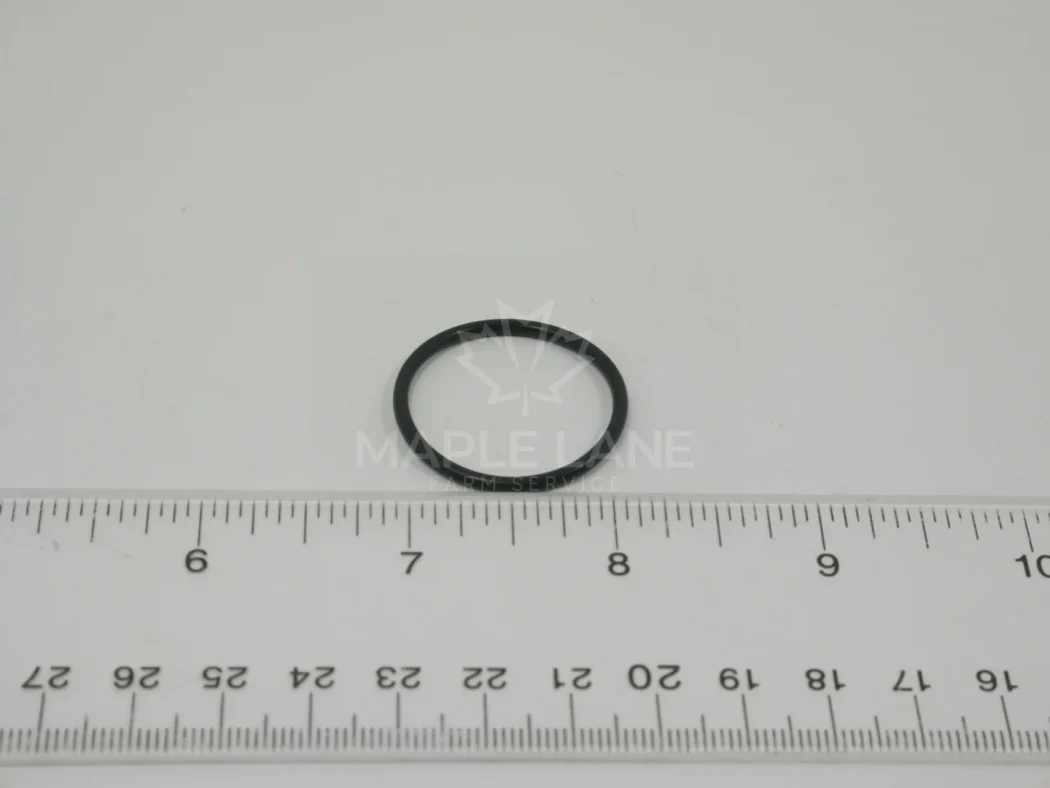 190019 O-Ring