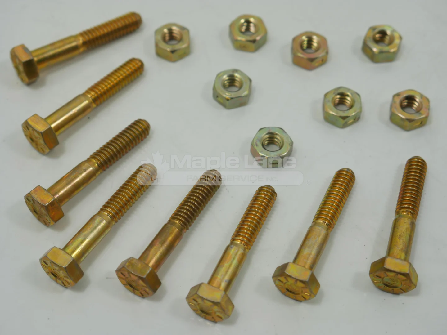 55082858GRP Eight Nuts and Bolts
