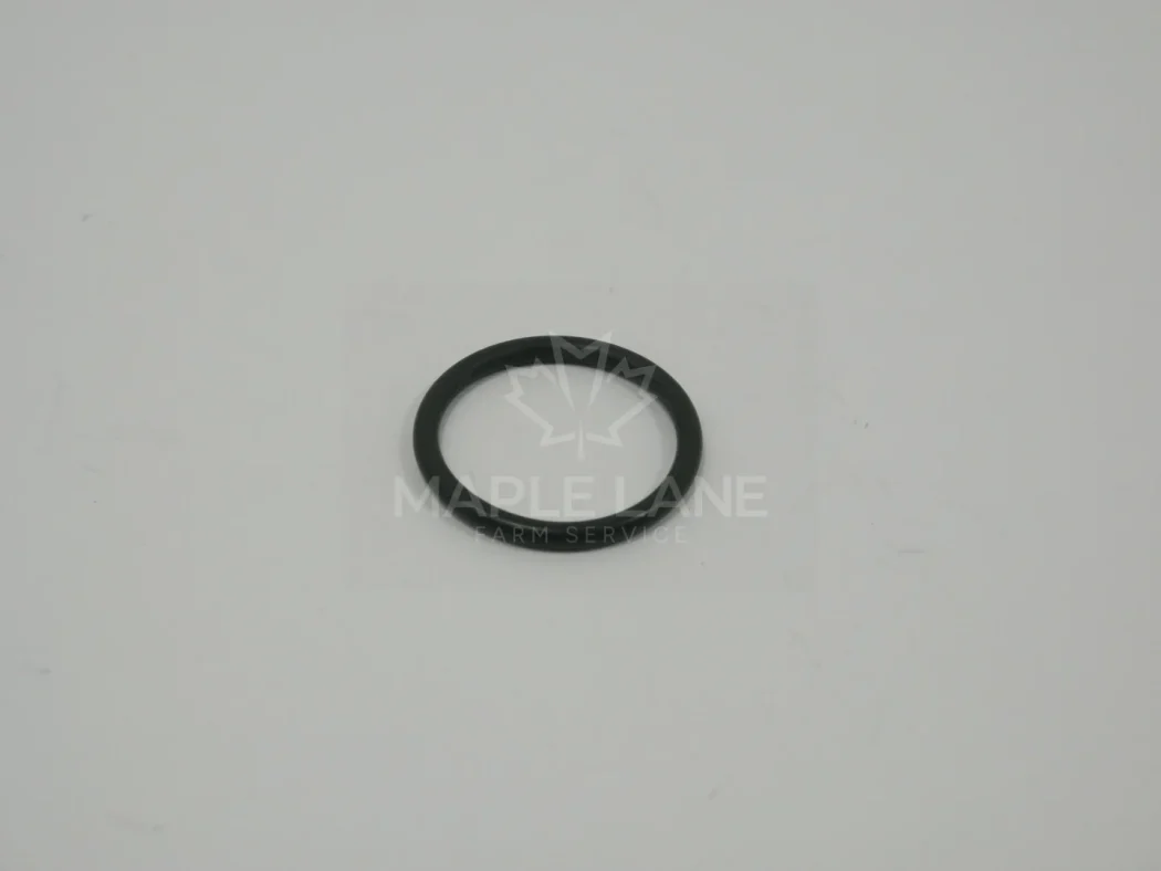 602007 O-Ring