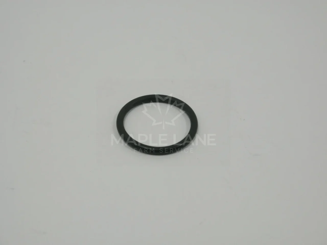 602007 O-Ring