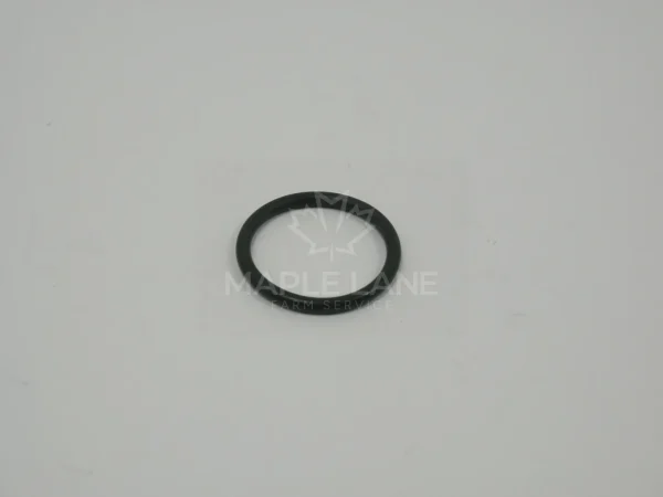 602007 O-Ring