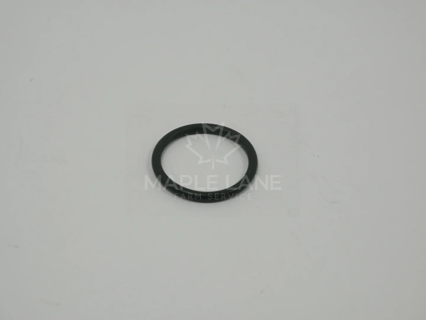 602007 O-Ring