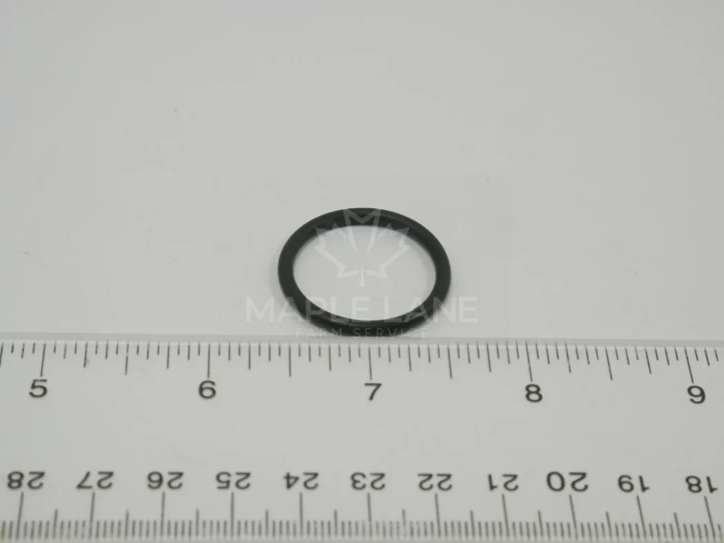 602007 O-Ring