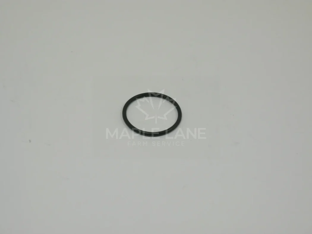 961828 O-Ring