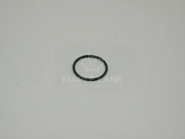 961828 O-Ring