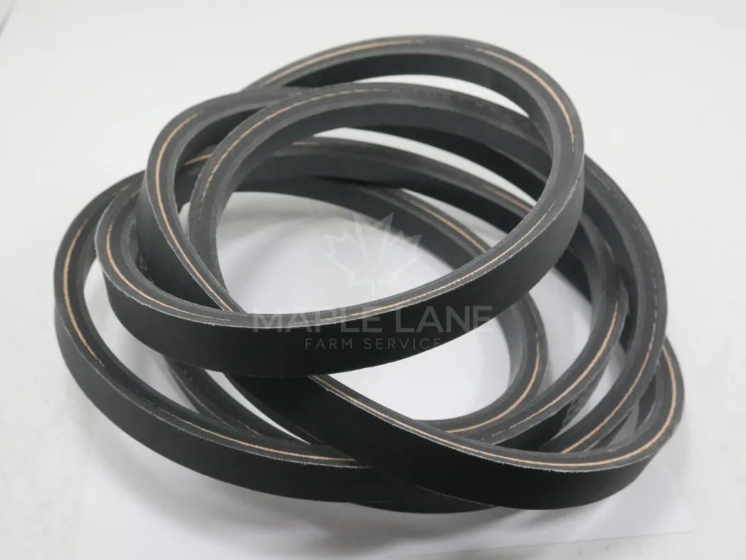 145706 Belt