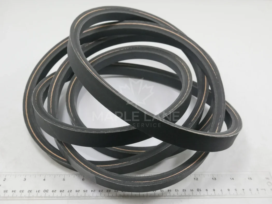 145706 Belt