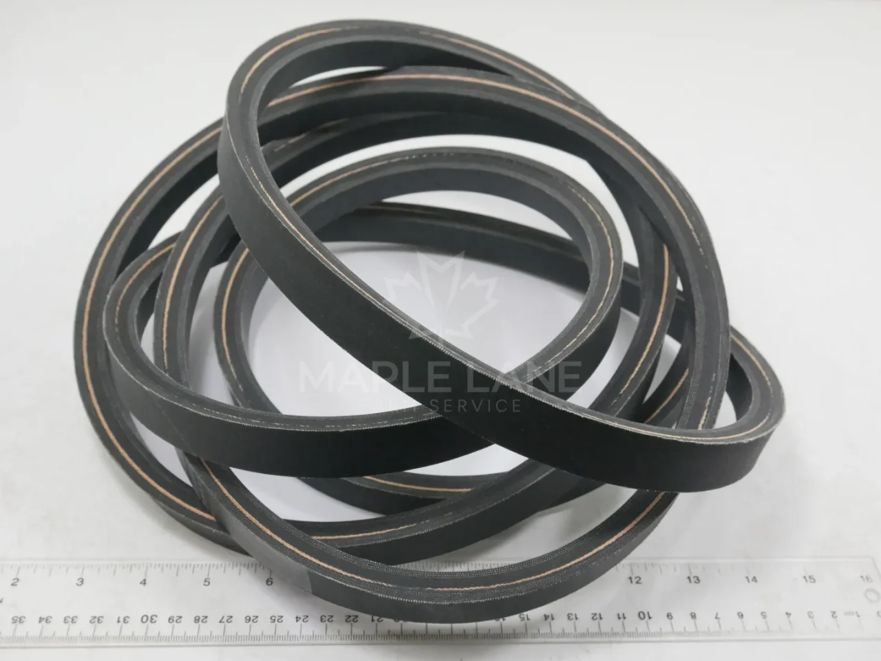 145706 Belt
