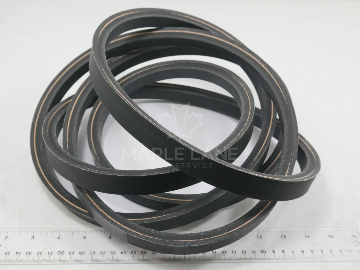 145706 Belt
