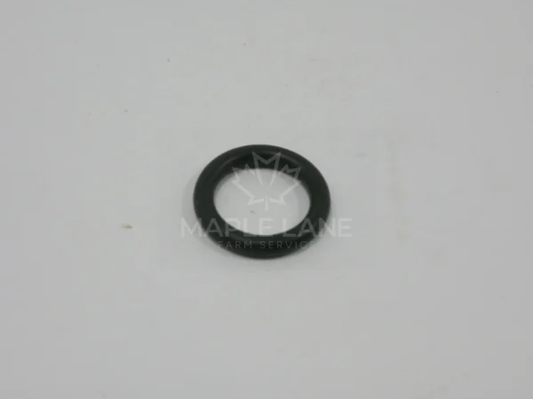 3019962X1 O-Ring