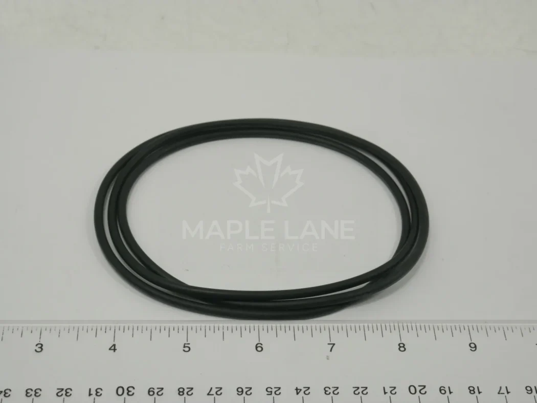70271489 O-Ring