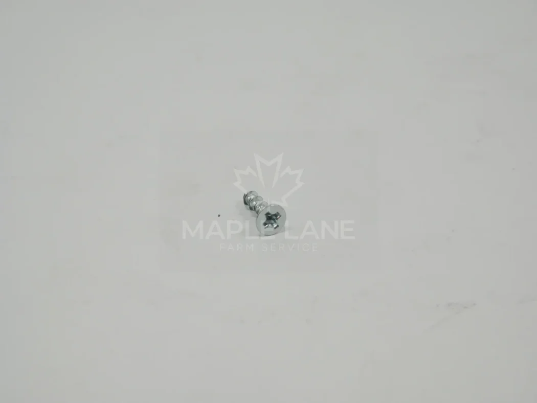 720046 Screw