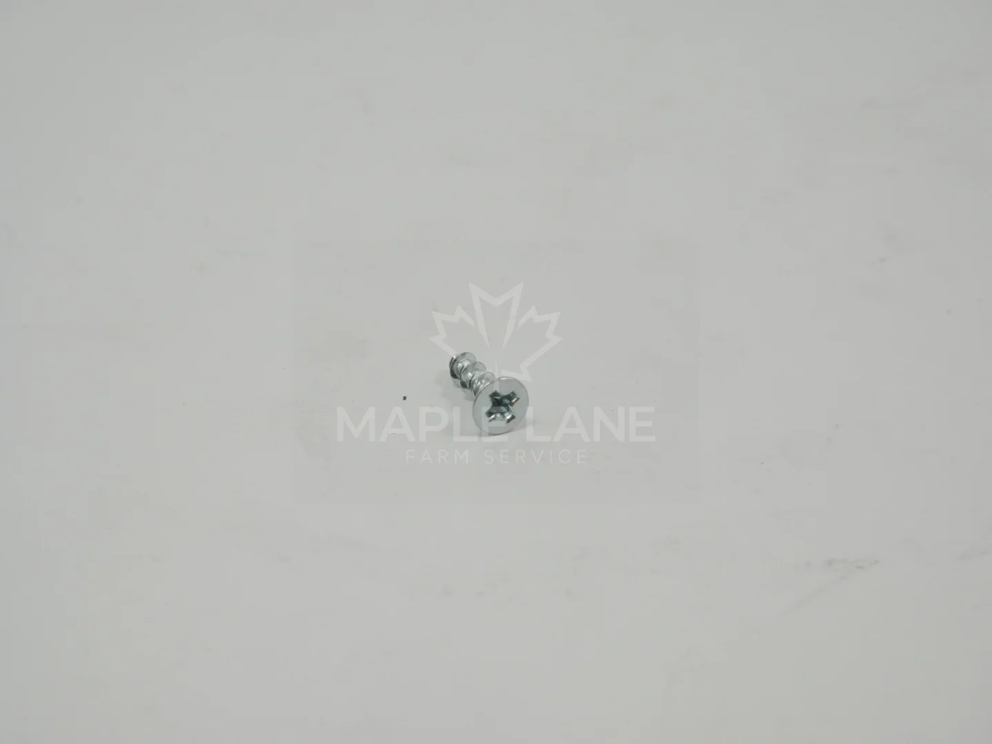 720046 Screw