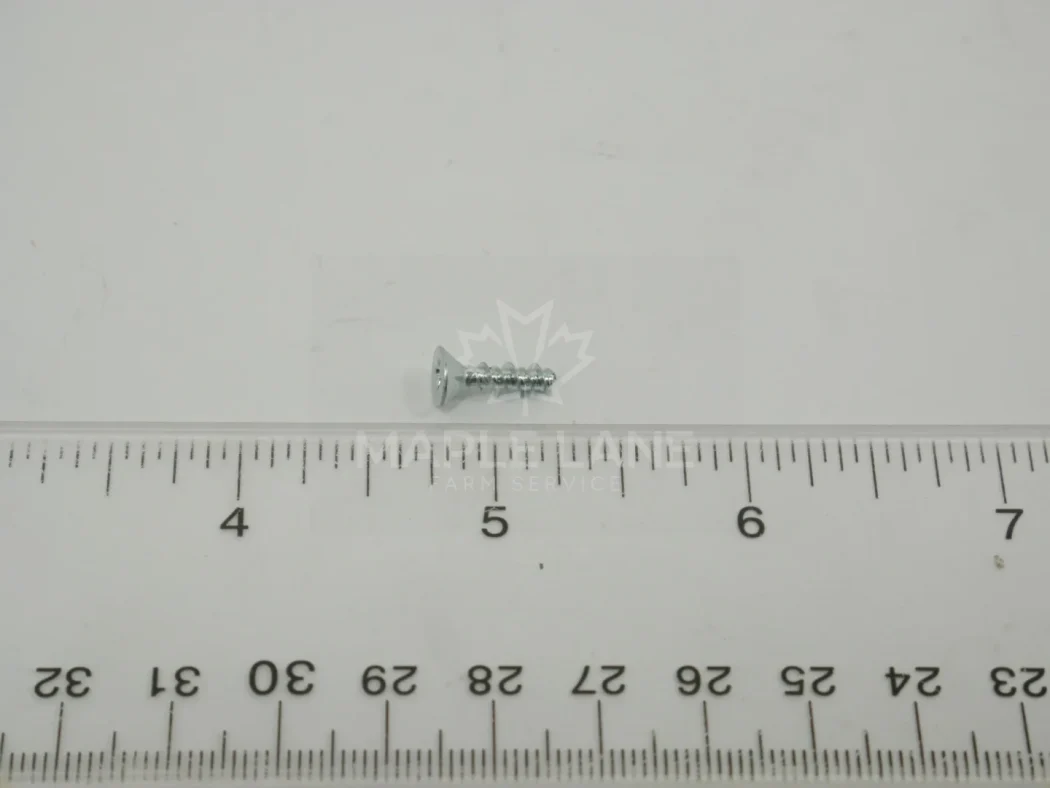 720046 Screw