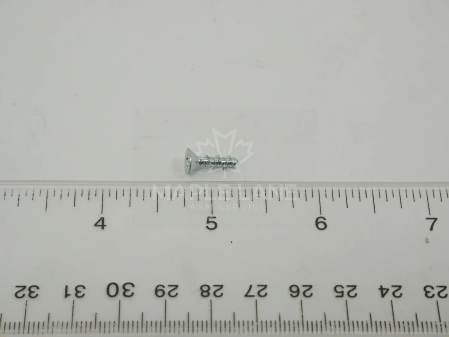 720046 Screw